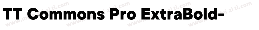 TT Commons Pro ExtraBold字体转换